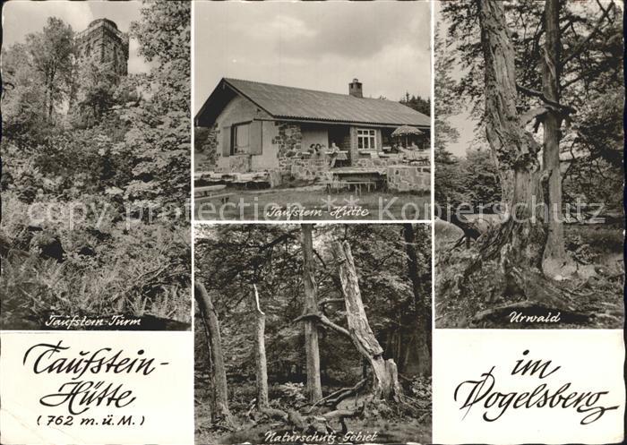Vogelsberg Hessen Taufstein Turm und Huette Urwald Naturschutzgebiet