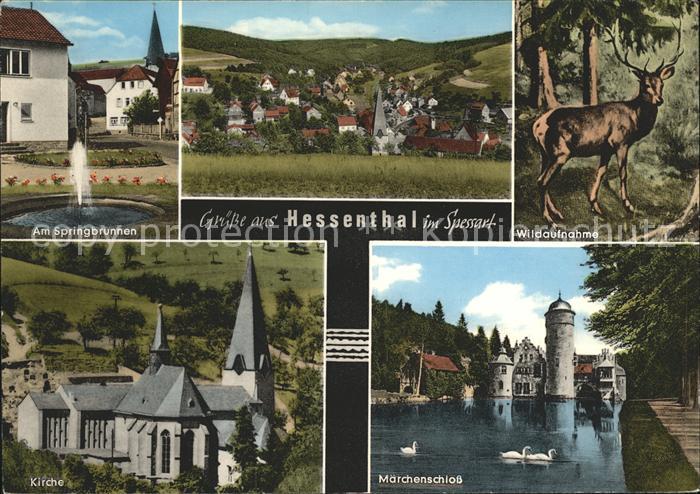 Hessenthal Spessart Maerchenschloss Kirche Wild