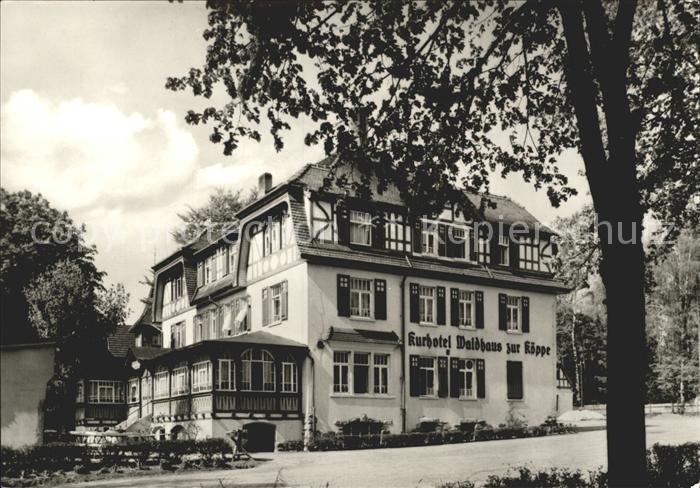 Bad Klosterlausnitz Kurhotel Waldhaus zur Koeppe