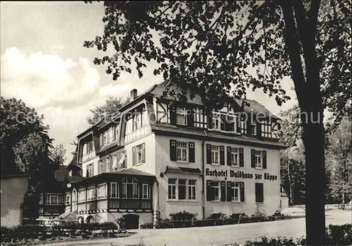Bad Klosterlausnitz Kurhotel Waldhaus zur Koeppe