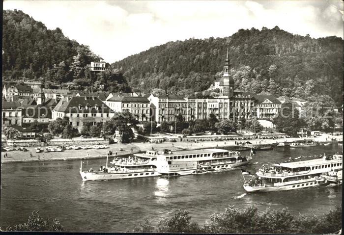 Bad Schandau mit Elbedampfern