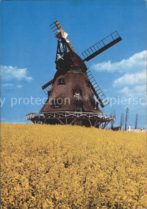 Windmuehle Ostholstein