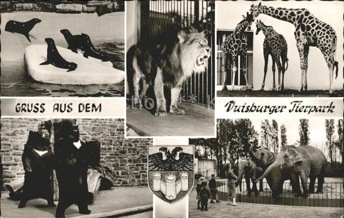 Zoo Duisburg Tierpark Loewe Baeren Elefanten Giraffen Seehunde