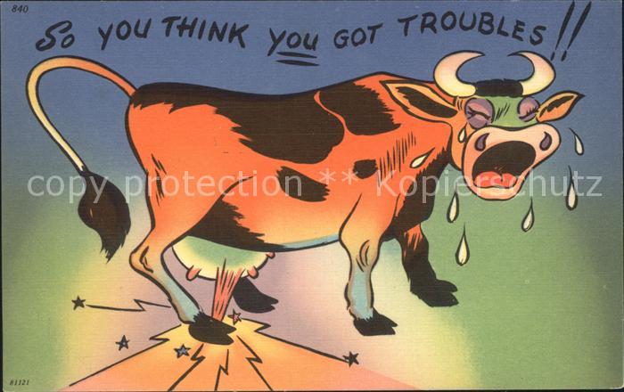 Kuehe Humor Traenen Schmerz