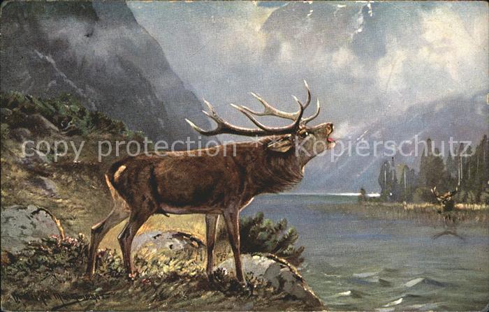 Hirsch Kuenstlerkarte