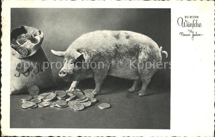 Schweine Neujahr Muenzen