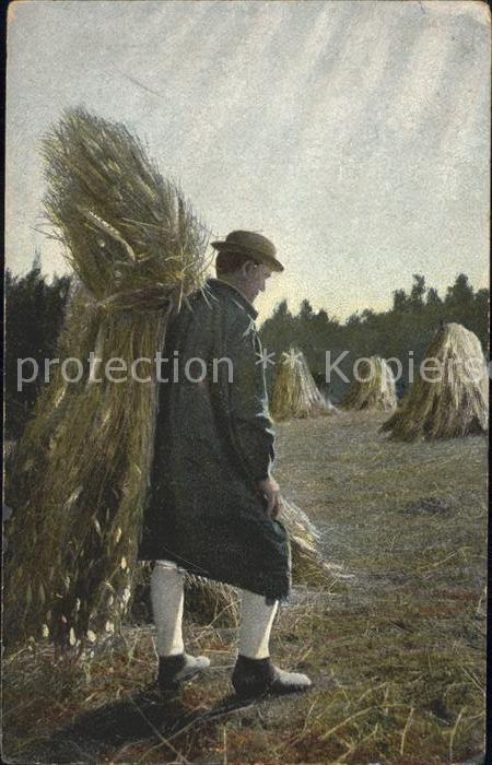 Landwirtschaft Heuernte Trachten Hessen