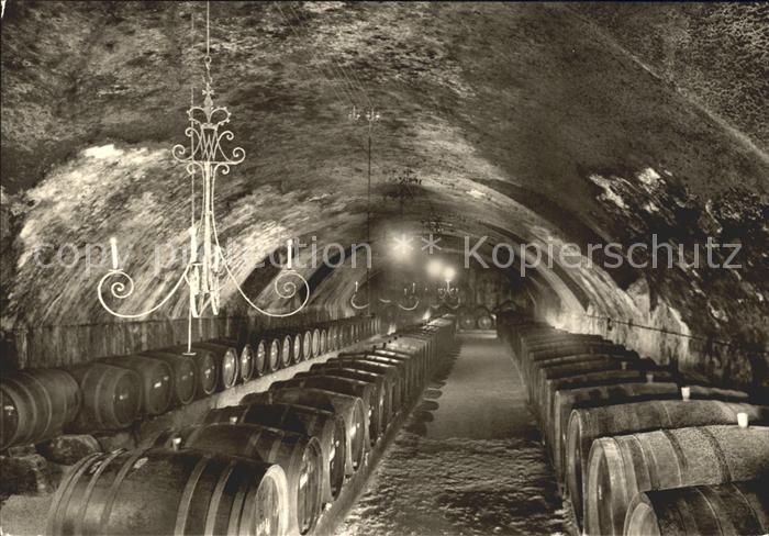 Wein Schloss Johannisberg Rheingau Keller