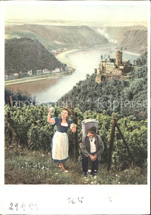 Wein Weinreben Winzer