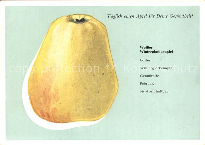 Obst Weisser Winterglockenapfel