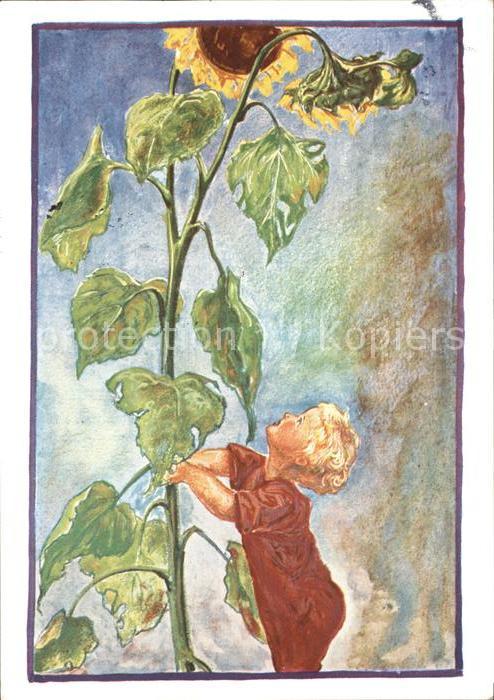 Kuenstlerkarte K. Kuehnle So gross werd ich Kind Sonnenblume