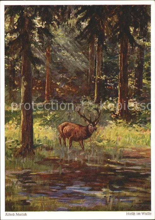 Mailick Alfred Mailick Hirsch im Walde Wiechmann-Verlag-Nr. 928