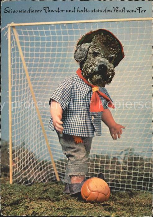 Fussball Tor Hund Kind