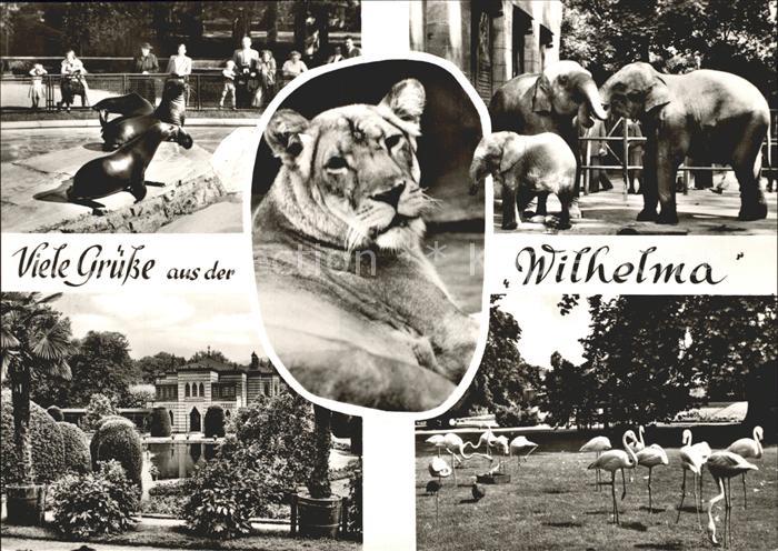 Loewe Elefanten Flamingos Seehunde Tierpark W