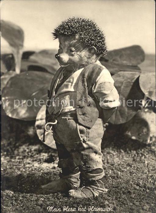 Mecki Nr. 4 Mein Herz hat Heimweh