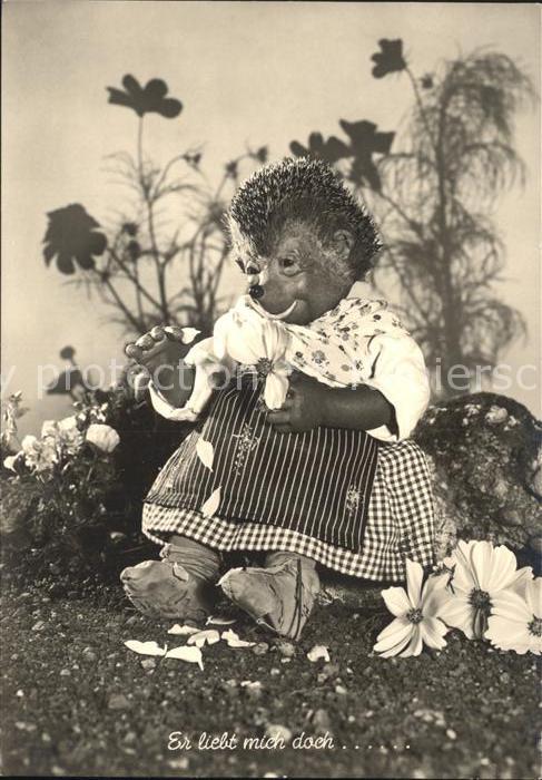 Mecki Nr. 9 Blumen Er liebt mich Er liebt mich nicht