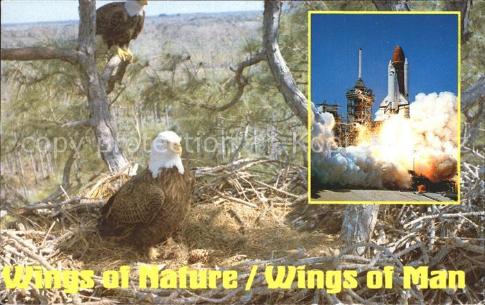 Raumfahrt Kennedy Space Center Florida Southern Bald Eagle
