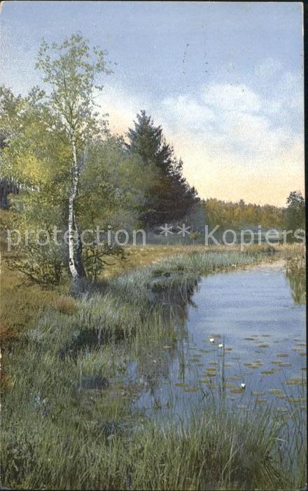 Verlag Photochromie Nr. 1315 Baeume Natur Fluss