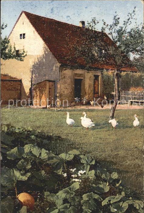 Verlag Photochromie Nr. 4032 Serie 254 Bauernhaus Gaense Huehner