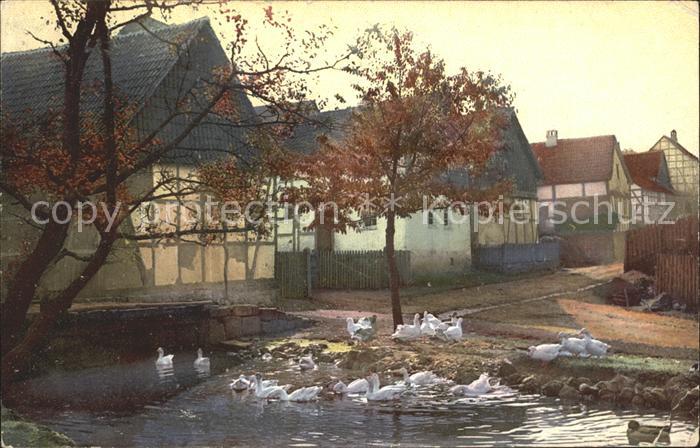 Verlag Photochromie Nr. 2551 Serie 131 Gaense Haeuser