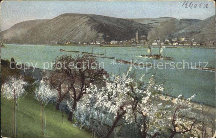 Verlag Photochromie Nr. 2417 Serie 120 Rhein Dampfer Baeume