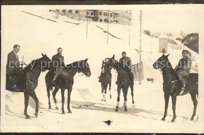 Pferde Fliegenmaske Gesichtsschutz Reiten Privatfoto