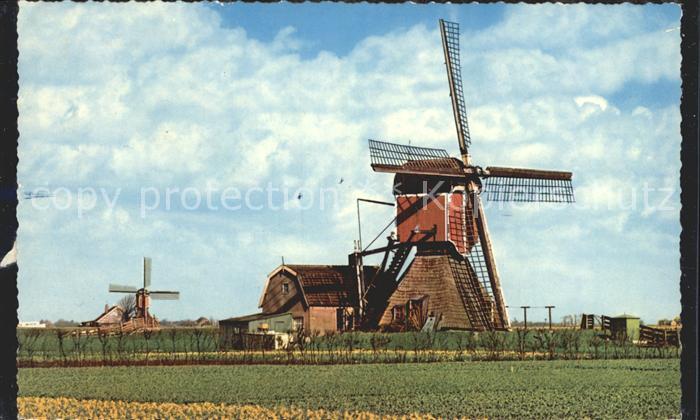 Windmuehle Holland