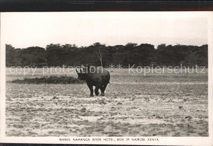 Nashorn Rhino Namanga River Hotel Nairobi