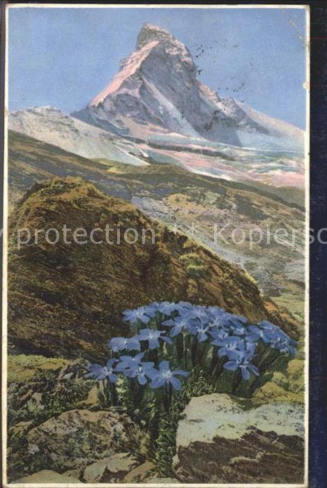 Verlag Photochromie Nr. 1476 Serie 578 Bayrischer Enzian Matterhorn
