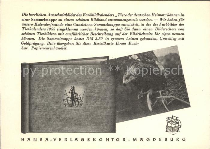 Falkner Falke Falcon Faucon Halcon Kalender Tiere der deutschen Heimat Sammelmap