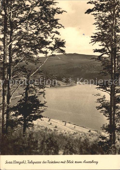 Sosa Erzgebirge Talsperre des Friedens