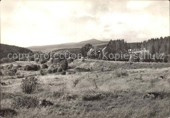 Mandelholz Harz Landschaft