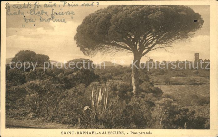 Valescourt Pins Parasole
