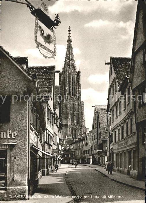Ulm Donau Gasthausschild zum Walfischn und alten Hut mit Muenster
