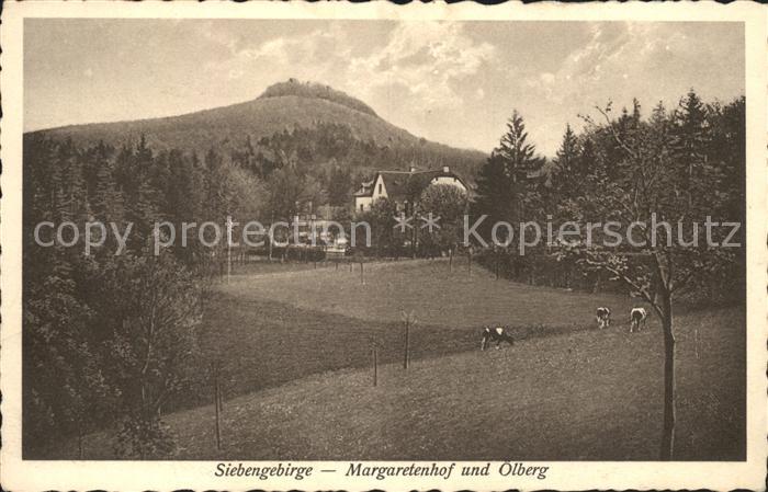 Siebengebirge Margaretenhof und oelberg