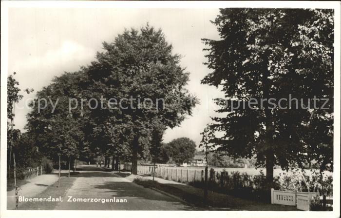 Bloemendaal Zomerzorgenlaan