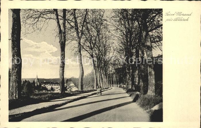 Saint-Morand Landstrasse Baumallee