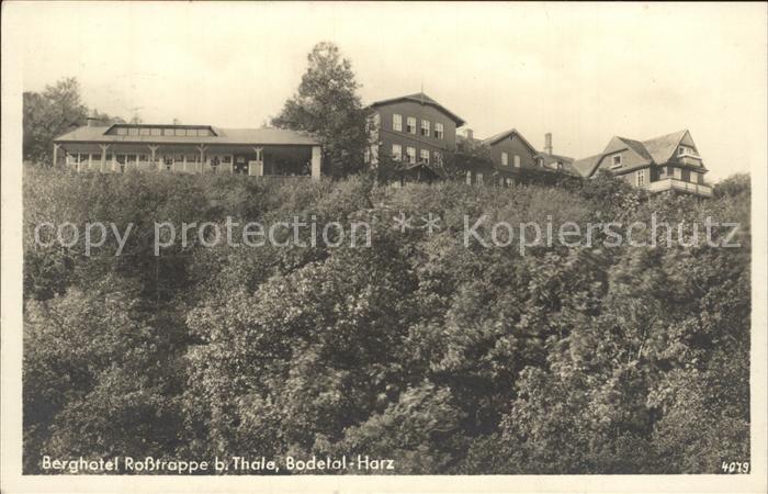 Thale Harz Berghotel Rosstrappe Bodetal