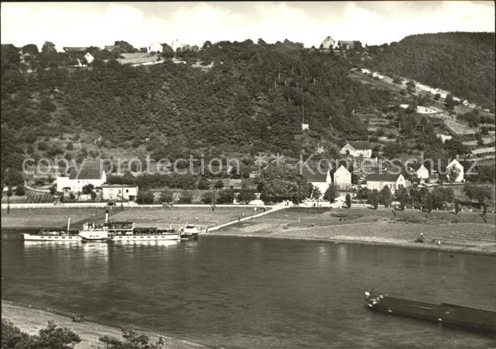 Diesbar-Seusslitz Partie an der Elbe Dampfer