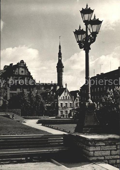 Tallinn Harju taenava haljasala