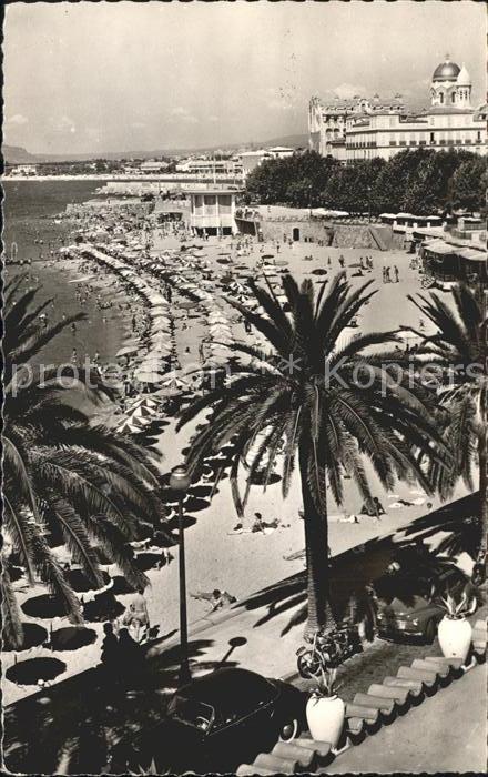 Saint-Raphael Var La Plage et les Palmiers