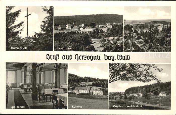 Herzogau Waldmuenchen Klammerfels Ortsblick Sonnhof Speisesaal Kurhotel Gasthaus