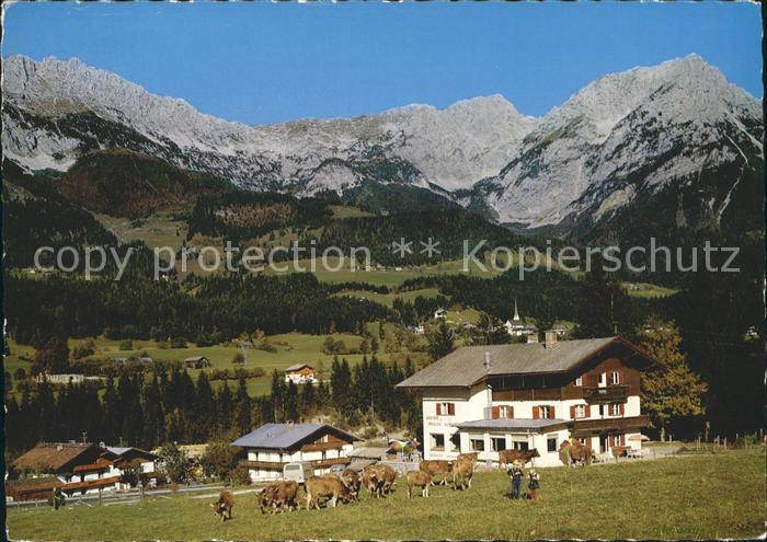 Scheffau Wilden Kaiser Gasthof Pension Alpenblick