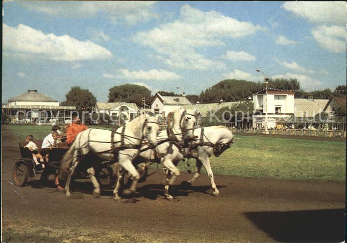 Enea UssR Exhibition of Economic Achievements Stock raising area
