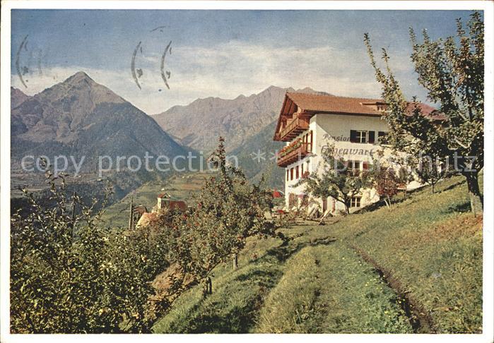 Schenna Meran Pension Hohenwart