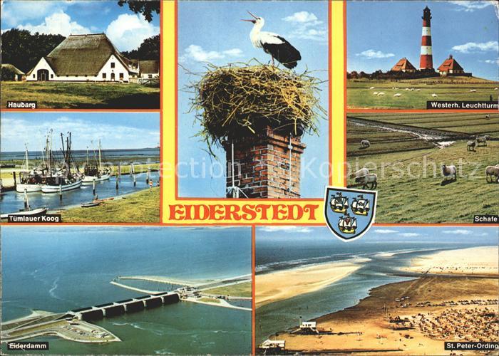Eiderstedt Damm St. Peter Ording Leuchtturm Haubaerg Tumlauer Koog