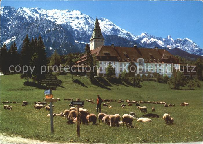 Elmau Schloss mit Schafherde Wettersteingebirge
