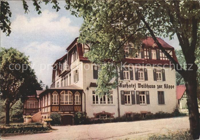 Bad Klosterlausnitz Kurhotel Waldhaus zur Koeppe