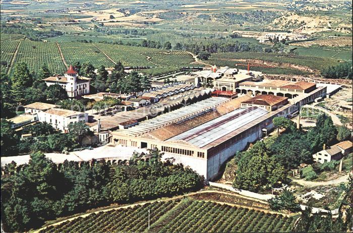 Cavas Codorniu Fliegeraufnahme