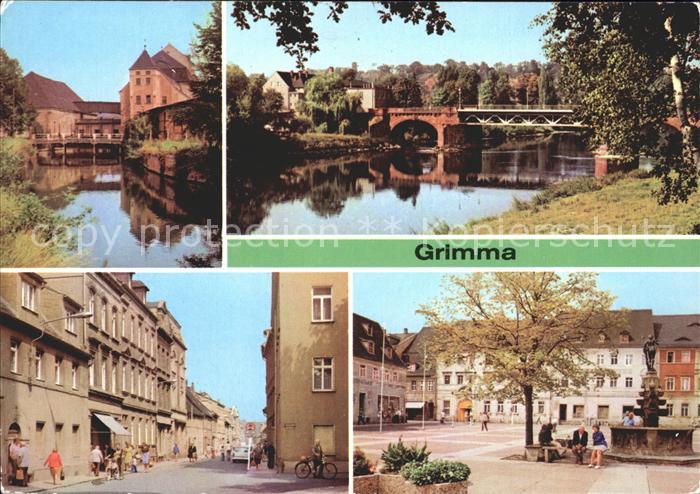 Grimma Muldenbruecke Markt